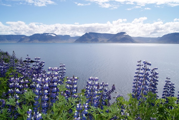 Arnarfjörður.jpg